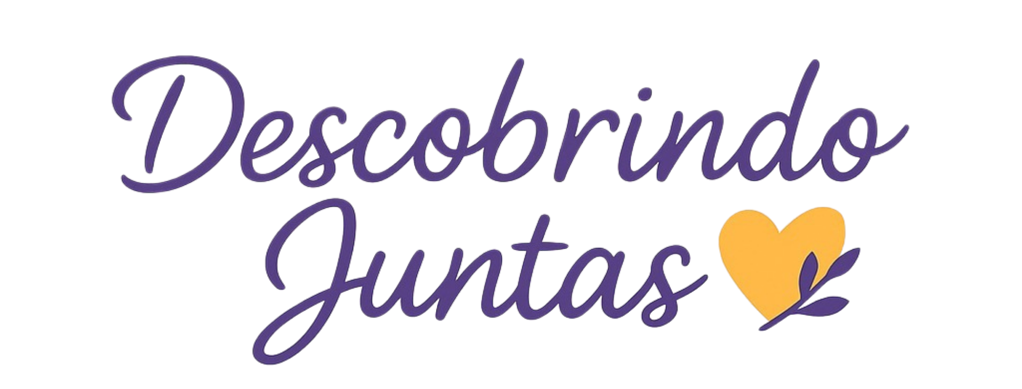 Descobrindo Juntas Capa Site